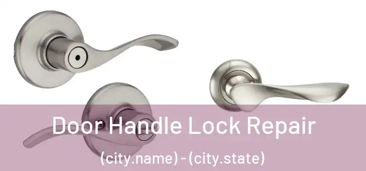 Door Handle Lock Repair (city.name) - (city.state)